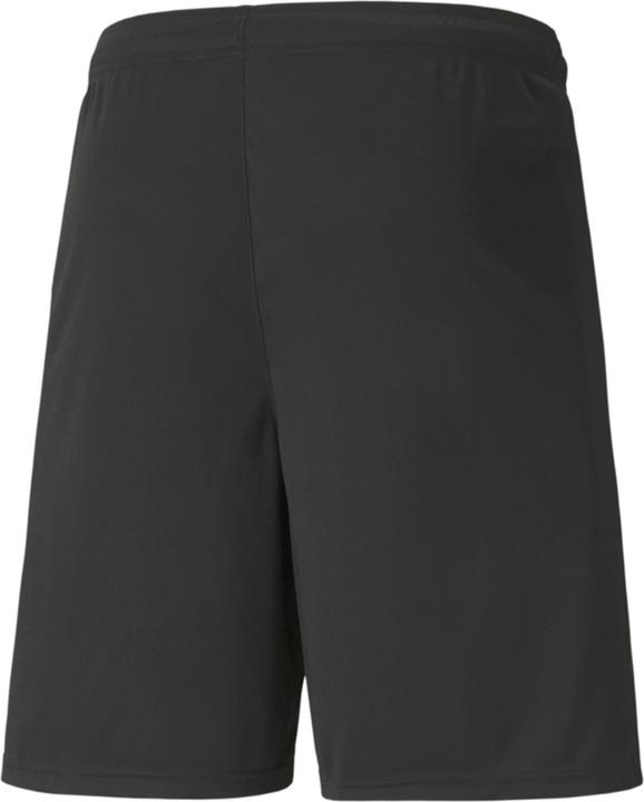 Actual product image Puma teamLIGA Shorts-704924 (L)
