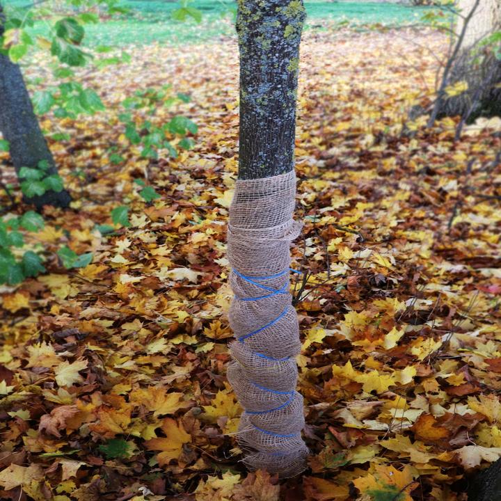 Actual product image Aquagart 80m x 1m Jutegewebe 105g/m² Jutematte Gartenjute Jute Stoff Sackleinen Juteband