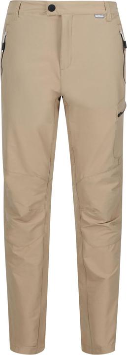 Actual product image Regatta Mens Highton Hiking Trousers (W38)