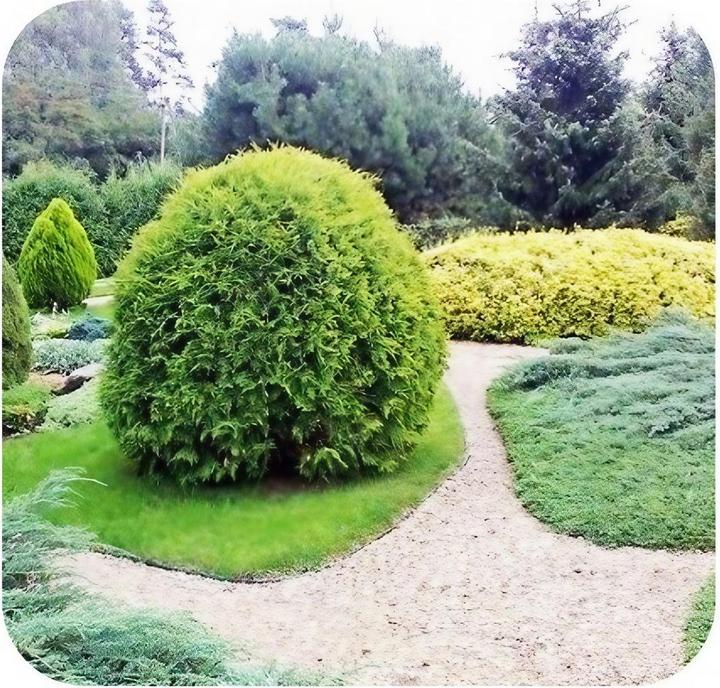 Produktbild Green Split 10er Set Ultra Starke Alu Rasenkanten 24cm x 1m (10m lang) | Beeteinfassung | Beetumrandung | Beetbe (1000 cm)