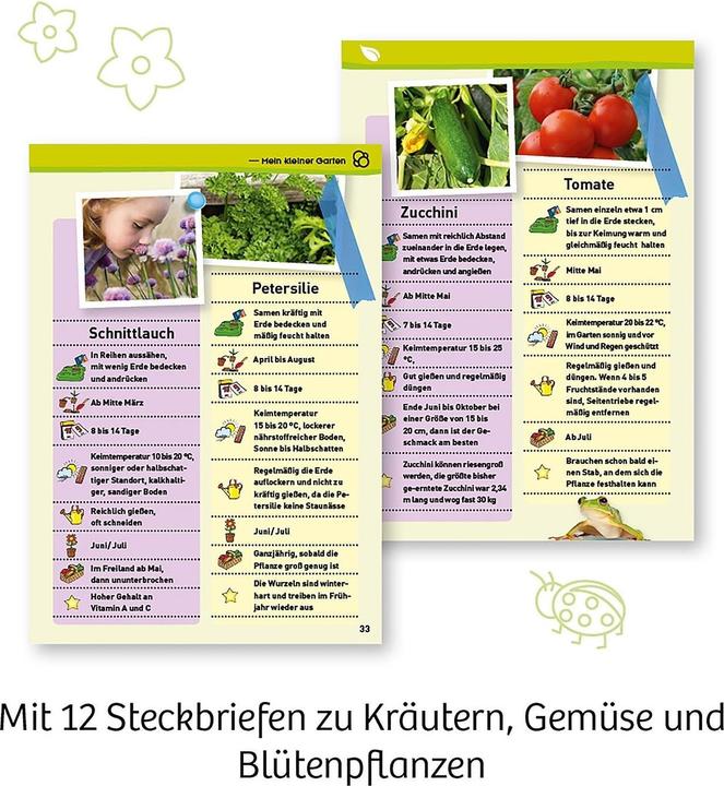 Actual product image Kosmos My first greenhouse