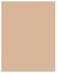 Immagine prodotto Sensai Silky Bronze Natural Veil compatto (SC01 Léger)