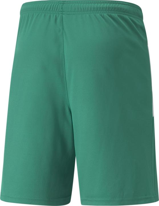 Blanc, vert sapin