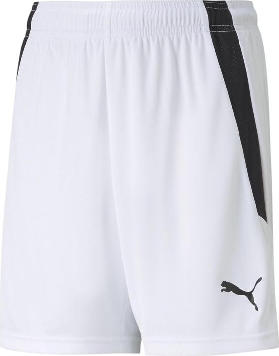 Image du produit Puma short teamLIGA Jr-704931 (116)