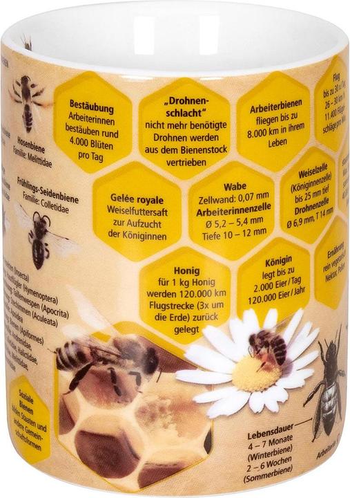 Produktbild Könitz Kaffeetasse Wissensbecher Biene 490 ml, 1 Stück, Mehrfarbig (490 ml, 1 x)