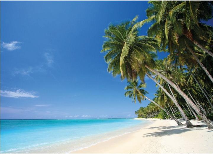 Actual product image Trenddeko Beach paradise (240 x 260 cm)