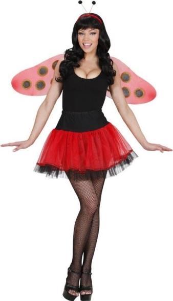 Actual product image Widmann 2-piece ladybird wing set - fancy dress costume (One size)