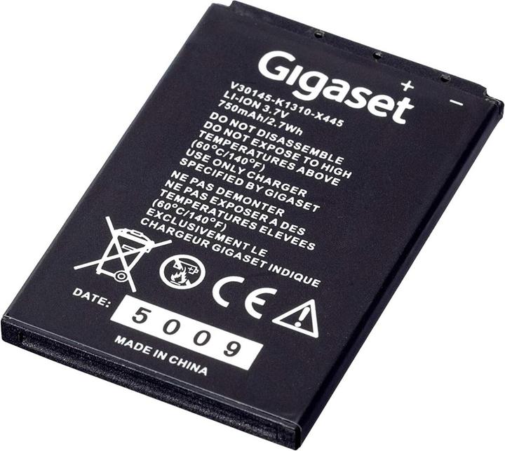 Gigaset S30852-D2152-X1