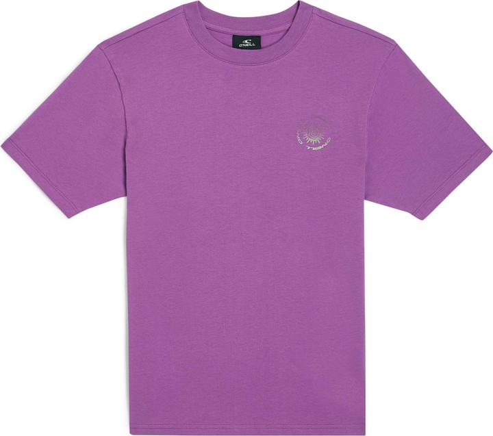 Actual product image O'Neill Small Graphic T-Shirt (176)