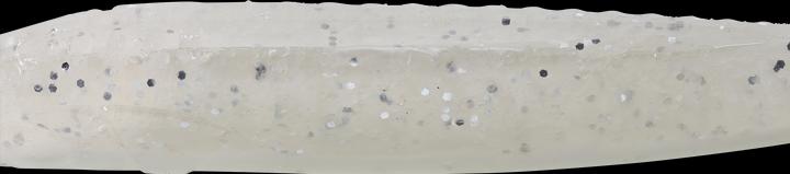 Caperlan 338857 (13 cm)