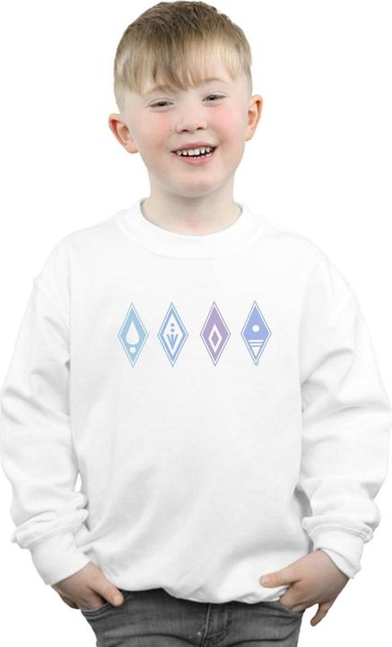 Produktbild Disney Frozen 2 Elements Symbols Sweatshirt Jungen (152, 158)