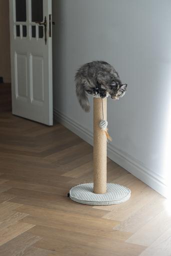 Actual product image Designed by Lotte Scratching post (70 cm, Light grey)