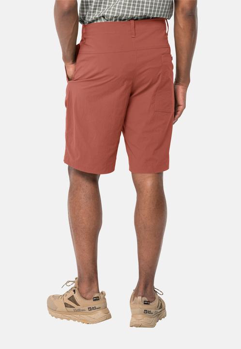 Actual product image Jack Wolfskin Desert Shorts M (54)