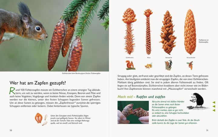 Actual product image Wawra's Naturbuch, Band 1: Säugetiere, Vögel, Reptilien, Amphibien (German, Johannes Wawra, Ursula Wawra, 2020)