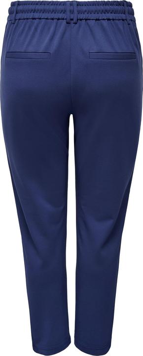 Image du produit Only Curvy pantalon uni (54)