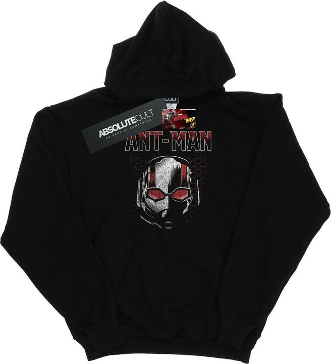 Image du produit - Sweat à capuche ANT-MAN AND THE WASP SCOTT MASK HEXAGON - Homme (XXL)