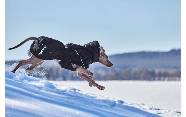 Immagine prodotto Hurtta Scaldino Estremo V3 Eco Nero, 35 cm (35, Cappotto per cani)