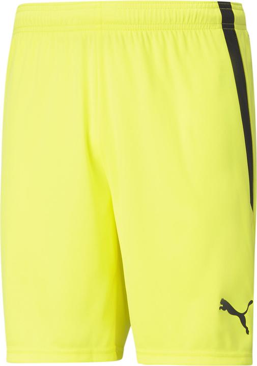 Actual product image Puma teamLIGA Shorts-704924 (S)