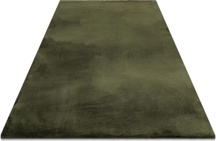 Verde oliva