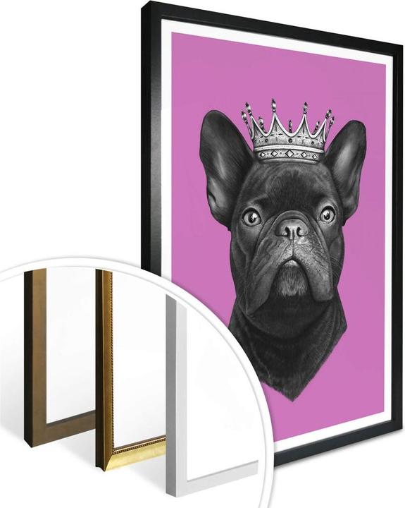 Image du produit Trenddeko King French Bulldog rose (80 x 100 cm)