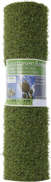 Actual product image Fs-Star Lawn carpet (1 x, 100 x 200 cm)