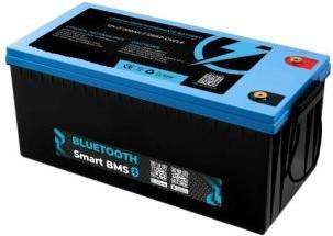 Immagine prodotto Rätikon Batterien Batteria al litio LiFePO4 24 V 200 Ah con Bluetooth e BMS (24 V, 200 Ah)