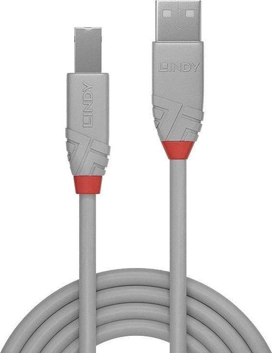 Actual product image Lindy USB/A-USB/B M-M (3 m, USB 2.0)