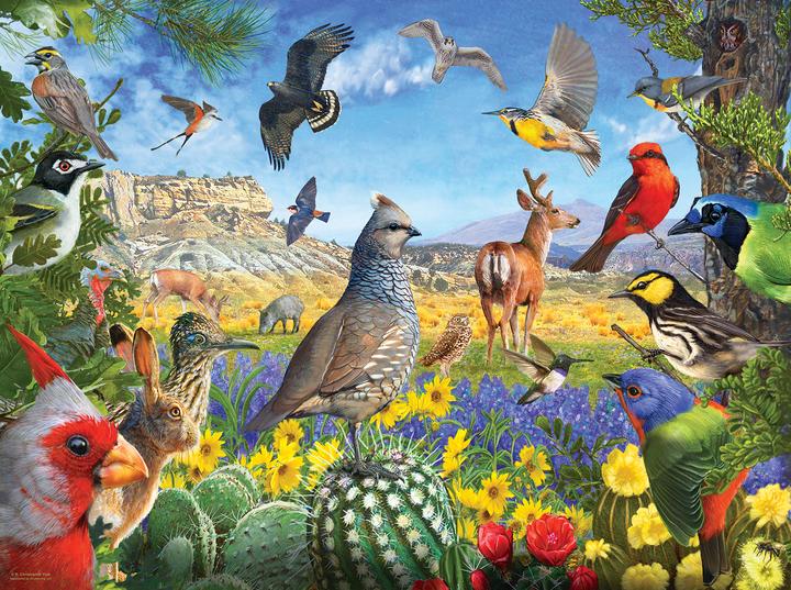 Immagine prodotto Sunsout Puzzle 1000 pezzi R. Christopher Vest - Uccelli del Texas (1000 pezzi)