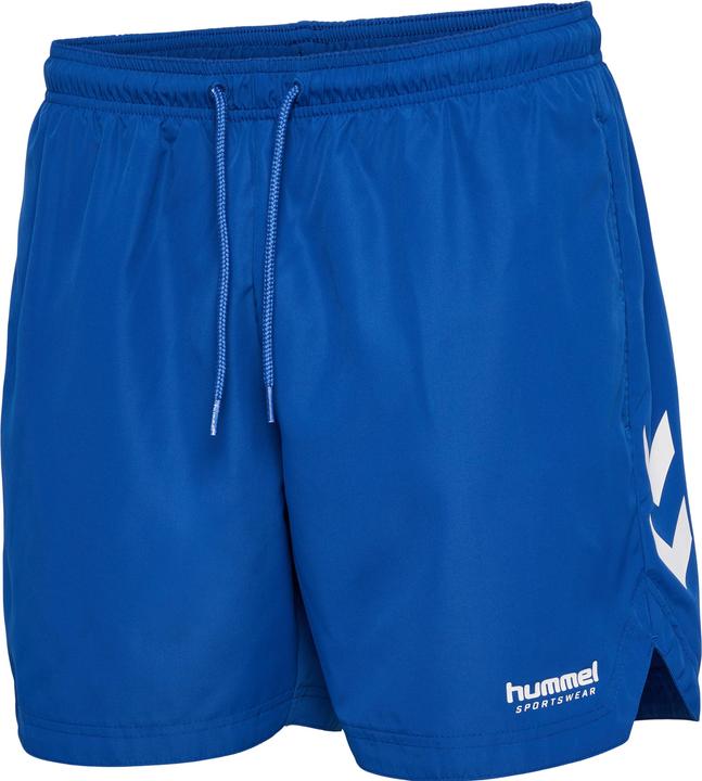 Vrai bleu