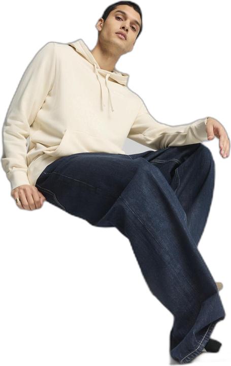 Actual product image Puma ESS Small No. 1 Logo Hoodie TR (s) (S)