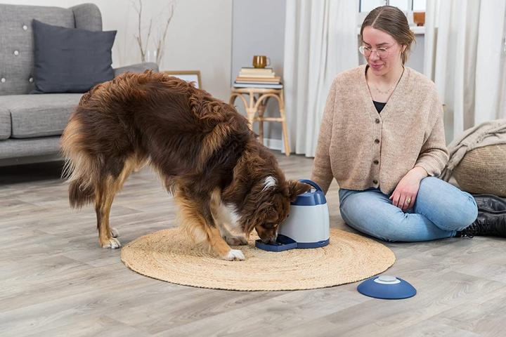 Image du produit Trixie entraîneur de mémoire (Jouet intelligent chien)
