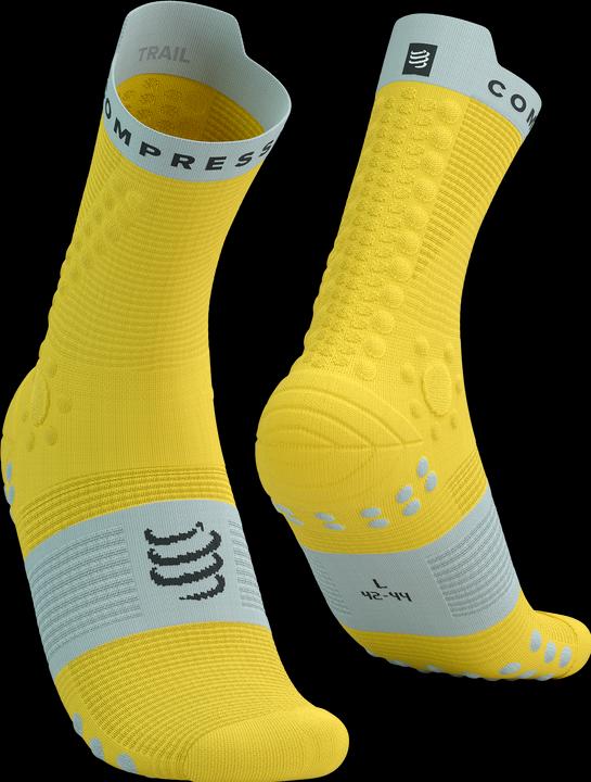 Maize, Dawn Blue
