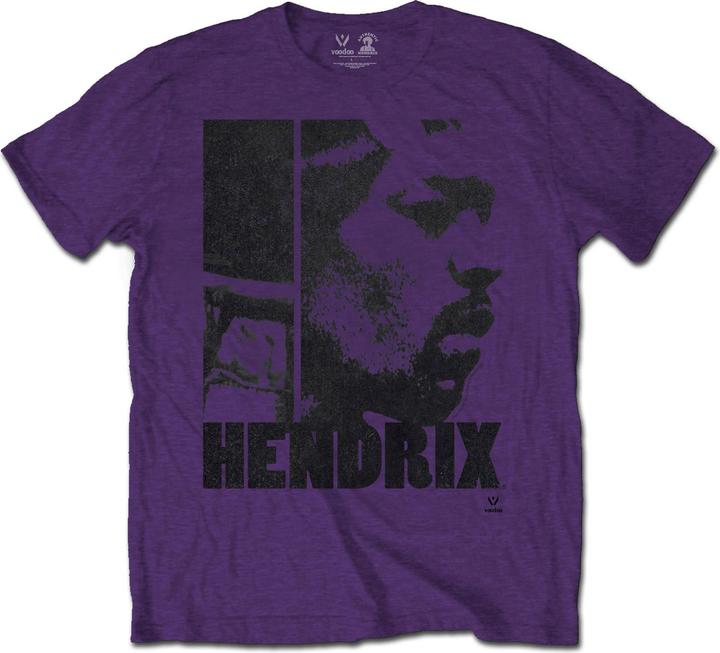 Jimi Hendrix Let Me Die