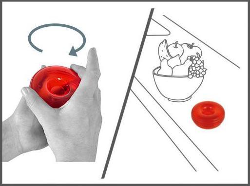 Produktbild Swissinno Köder für Fruchtfliegenfalle 2er