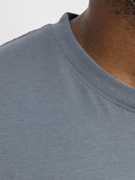 Image du produit Jack & Jones Jorvesterbro Tee Ss Crew Neck Noos Pls (XXL)