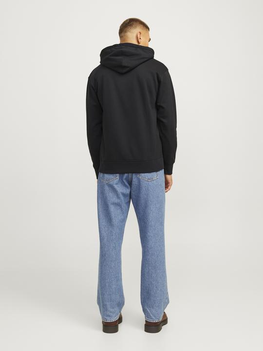 Produktbild Jack & Jones Jorportland Block Sweat Hood Ln (S)