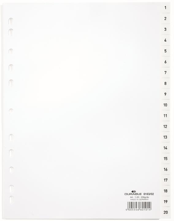 Actual product image Durable Index A4 1-20, with index sheet