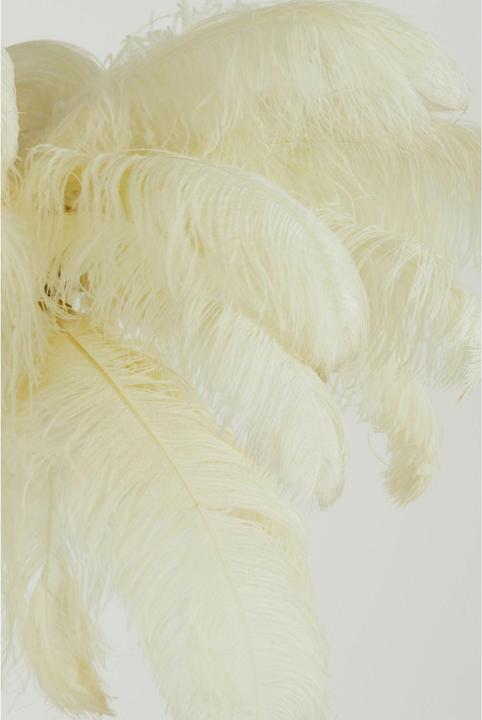 Produktbild Light & Living Feather