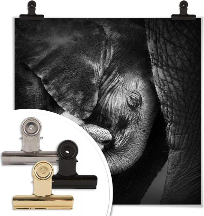 Immagine prodotto Trenddeko Il cucciolo di elefante (100 x 100 cm)