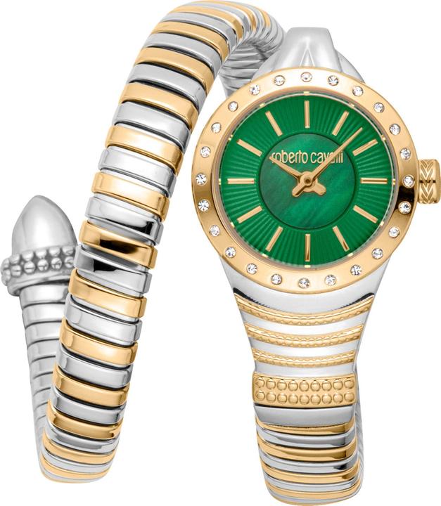 Image du produit Roberto Cavalli Lady - RC5L114M0075 (22 mm)