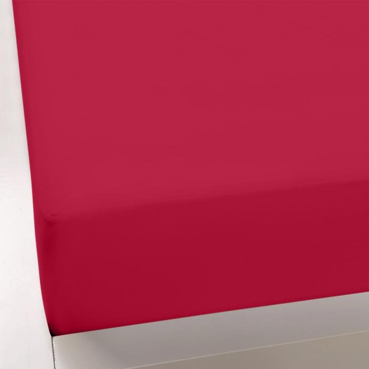 Immagine prodotto Formesse Bella-Donna Lenzuolo con angoli in jersey (160x200 cm, 140x200 cm, 150x200 cm)