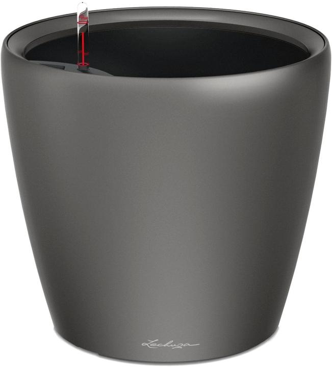 Anthracite Metallic