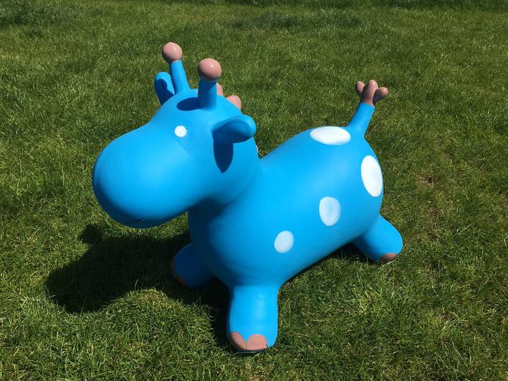 Produktbild Happy Hopperz Giraffe