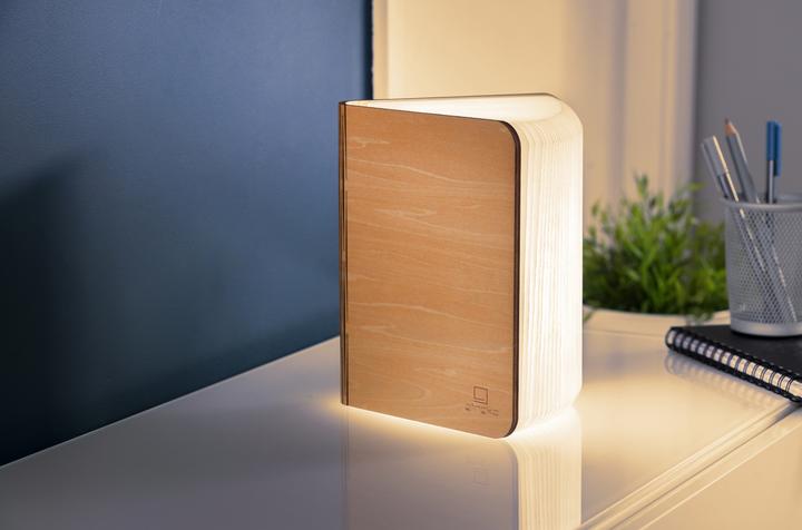 Produktbild Gingko Smart Book