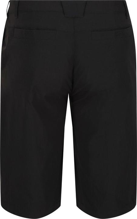 Actual product image Regatta Highton Shorts Hiking (48 D)