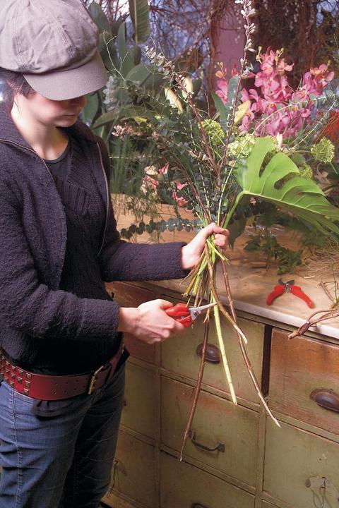 Actual product image Felco flower/fruit scissors