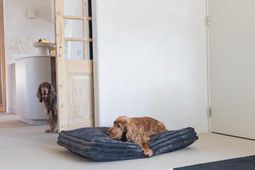 Actual product image Designed by Lotte Reza reclining cushion (Dog)