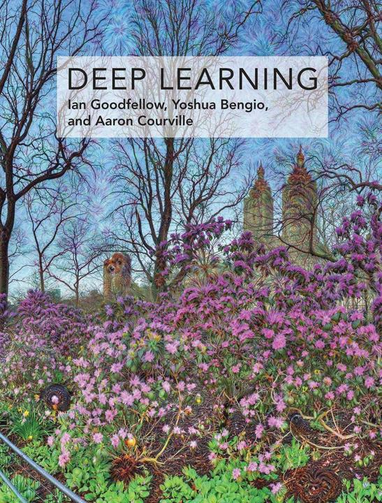 Image du produit deep learning (Anglais, Ian Goodfellow, Yoshua Bengio, Aaron Courville, 2016)