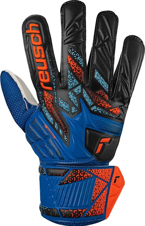 shock. orang, electric blu