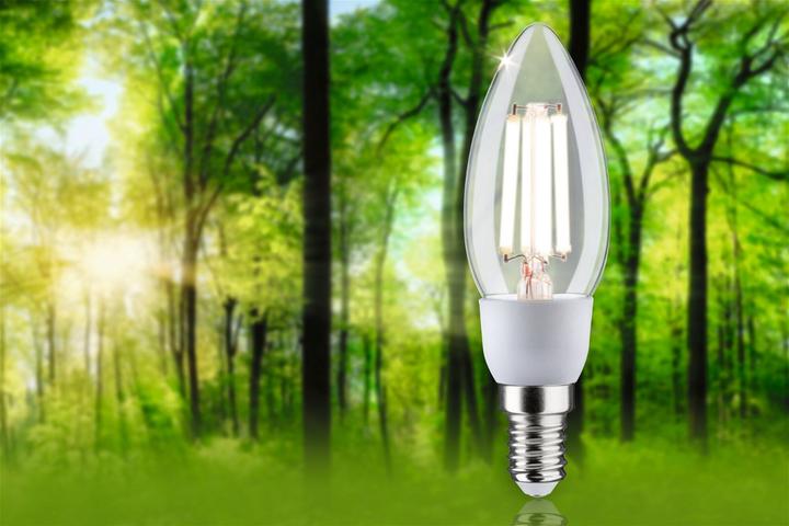 Actual product image Paulmann Candle Eco-Line Filament (E14, 2.50 W, 525 lm, 1 x, A)